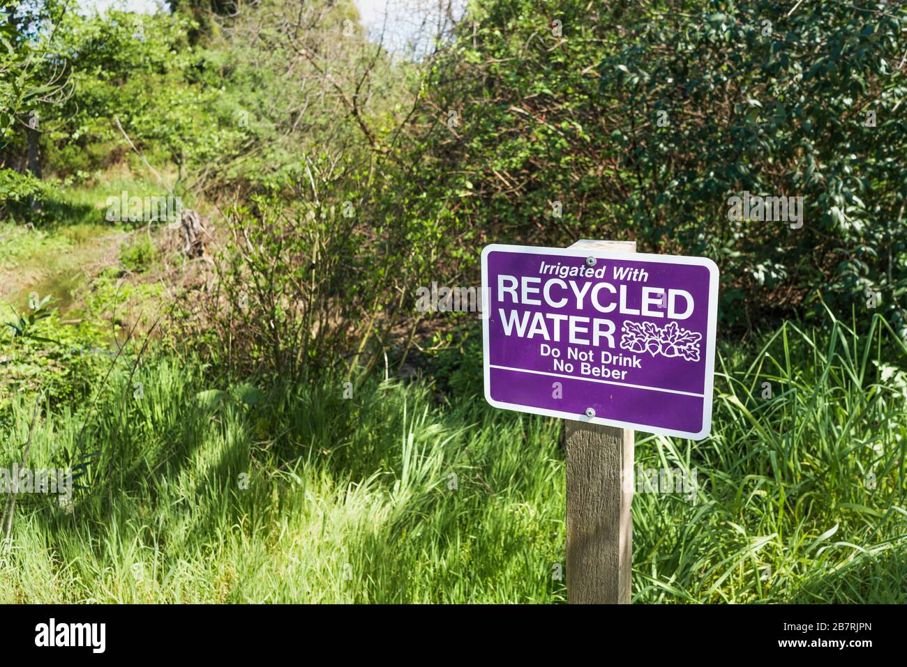 Irrigated with Recycled Water; Do Not Drink sign posted in a public park in Santa Clara, South San Francisco Bay Area, California Stock Photo