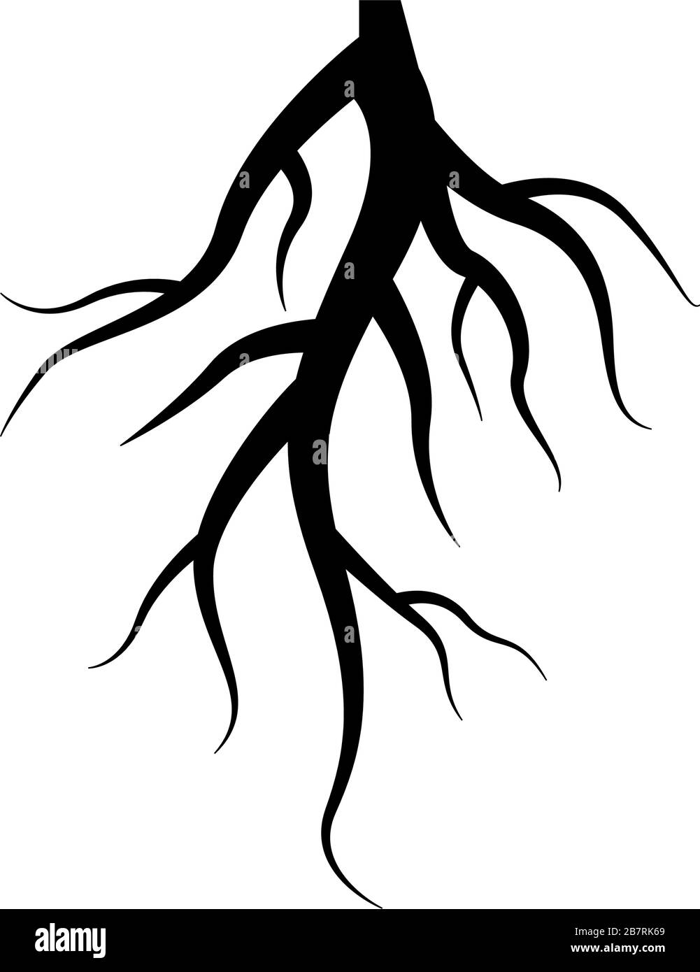 Simple Root Outline Isolated life living Black and White Stock Photos & Images - Alamy