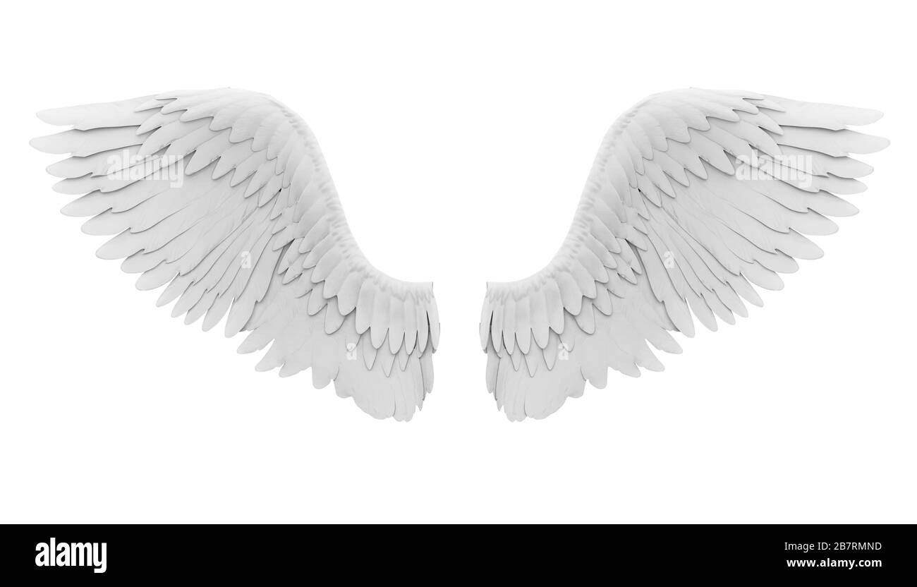 White Angel Wings Isolated Stock Photo