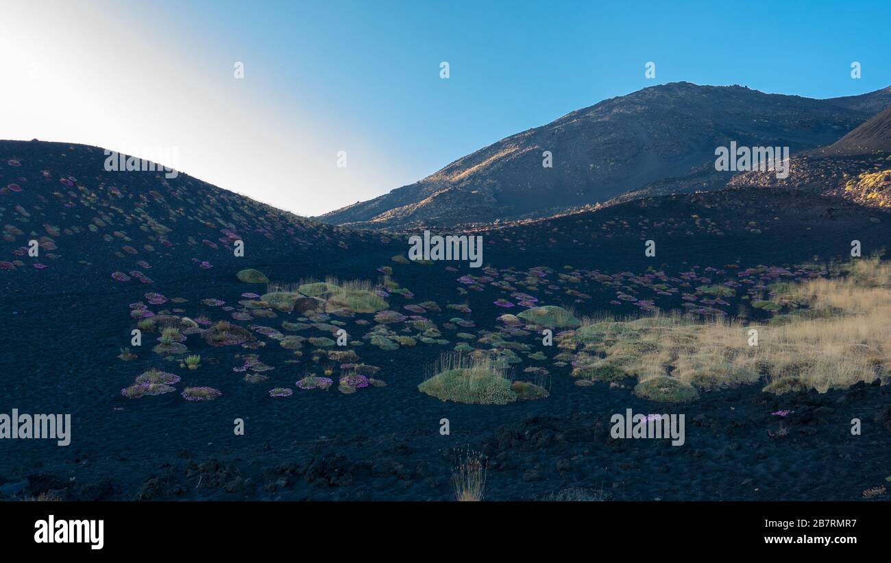 SICILY, CATANIA, MOUNT ETNA, active volcano of Sicily, still erupting