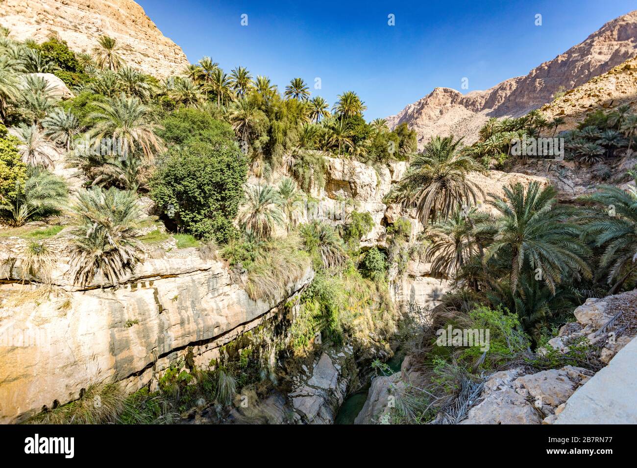 The green pool in wadi shab hi-res stock photography and images - Alamy
