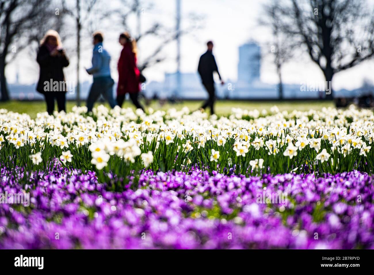 Spring in Düsseldorf at the Rheinpark Stock Photo