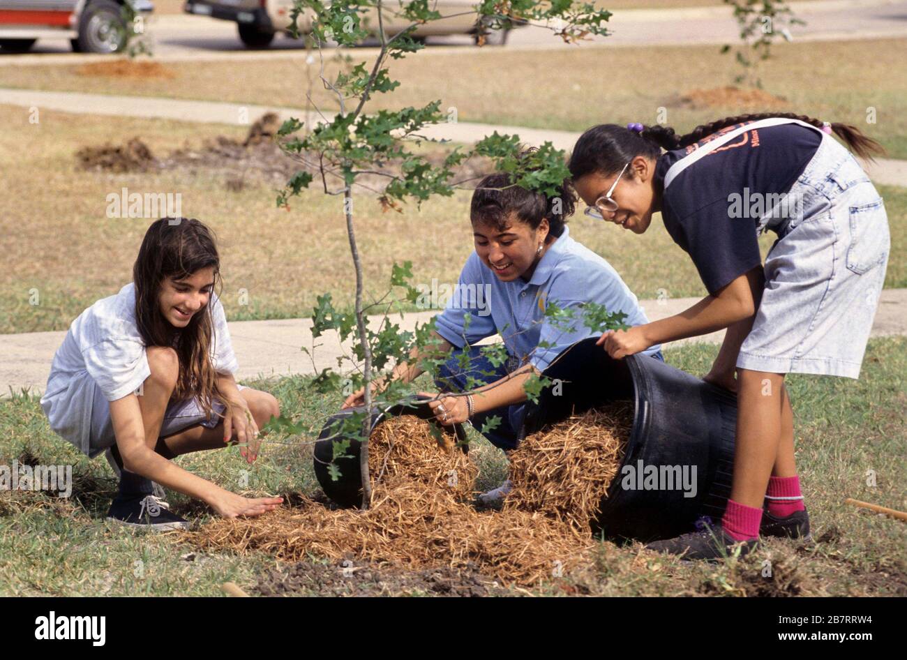 Austin, Texas Junior high school students mulching trees during tree