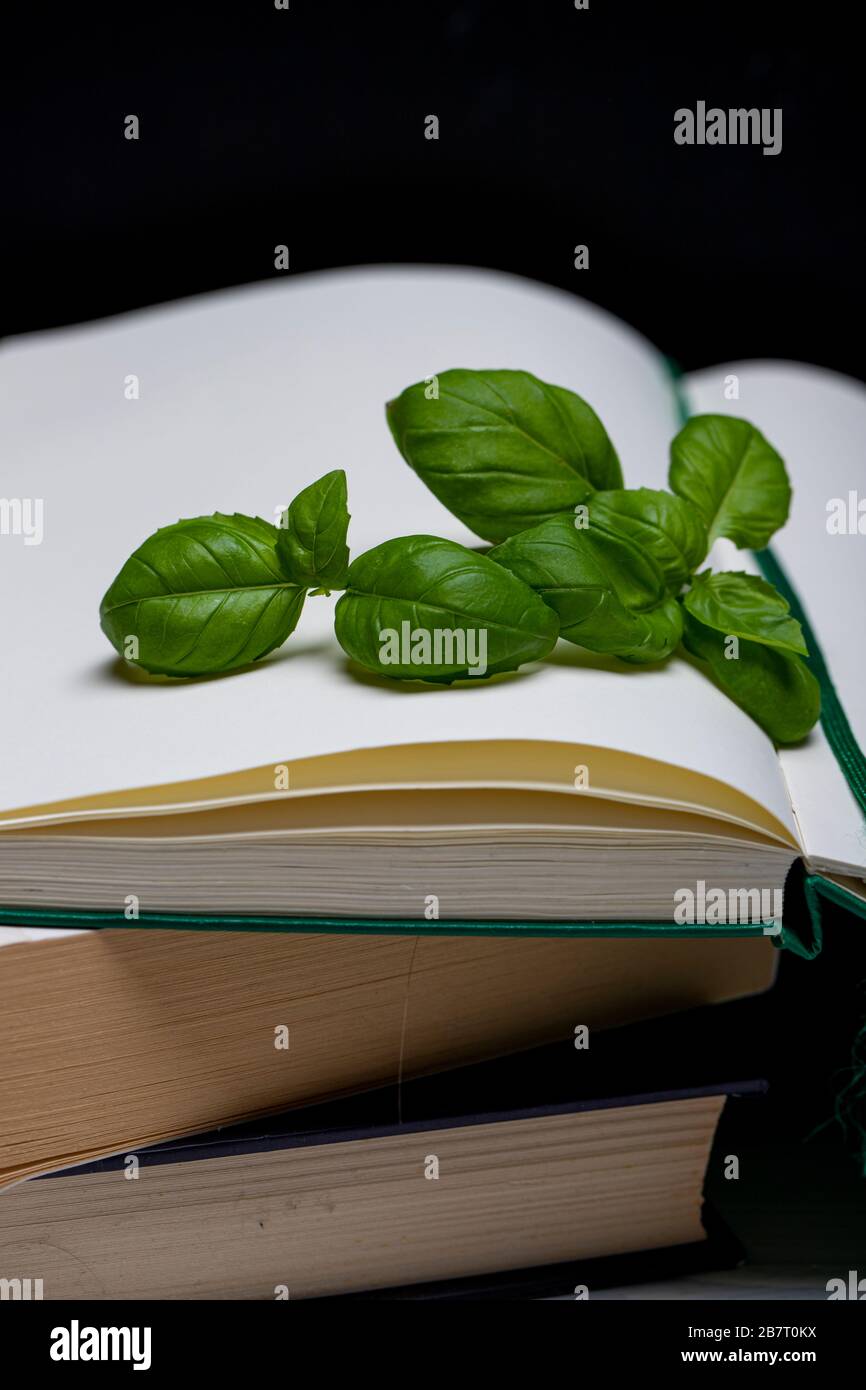 Basil leaveson a desk with a notebook for recipes and notes a composition with negative space a background for advertsing Stock Photo