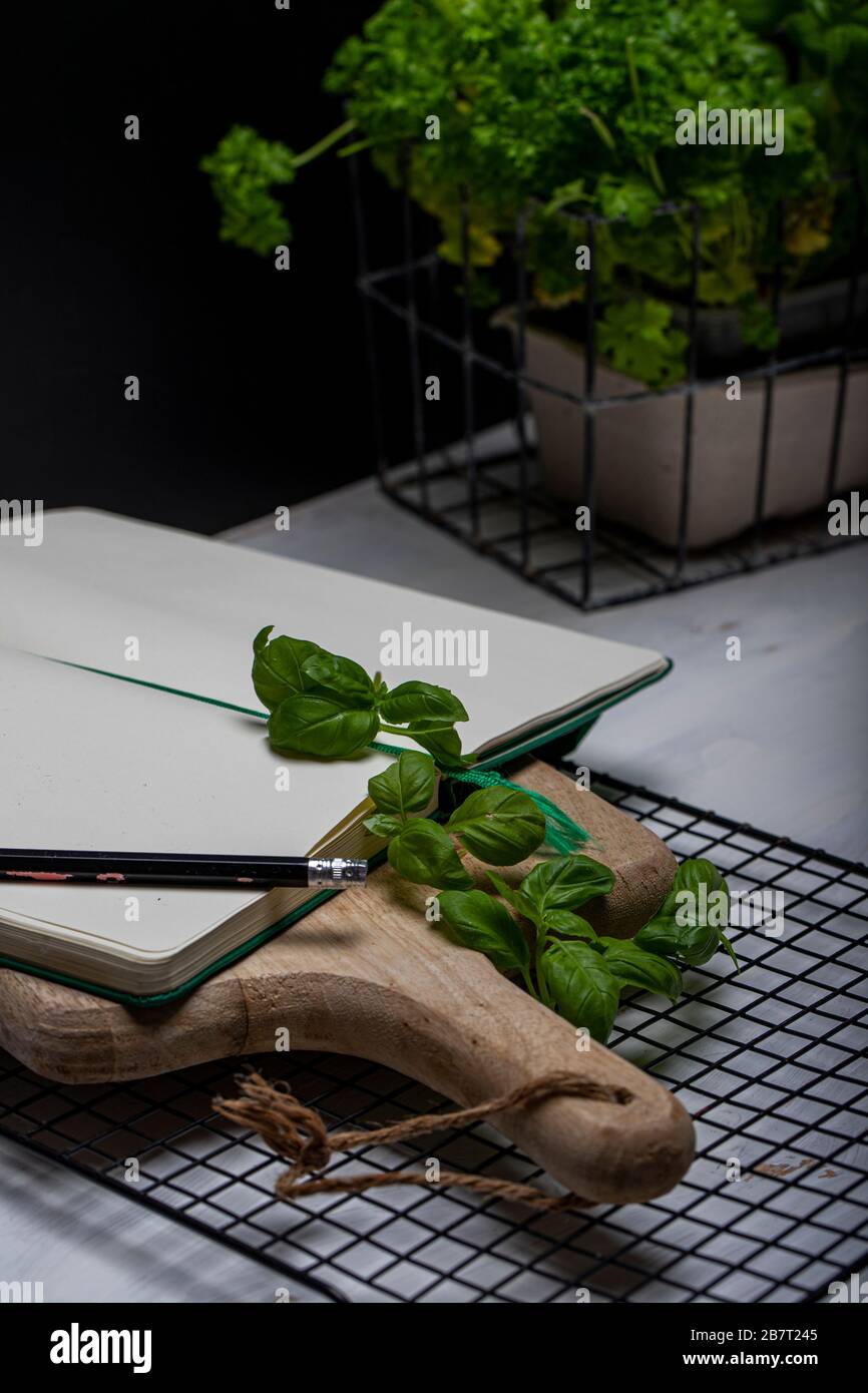 Basil leaveson a desk with a notebook for recipes and notes a composition with negative space a background for advertsing Stock Photo