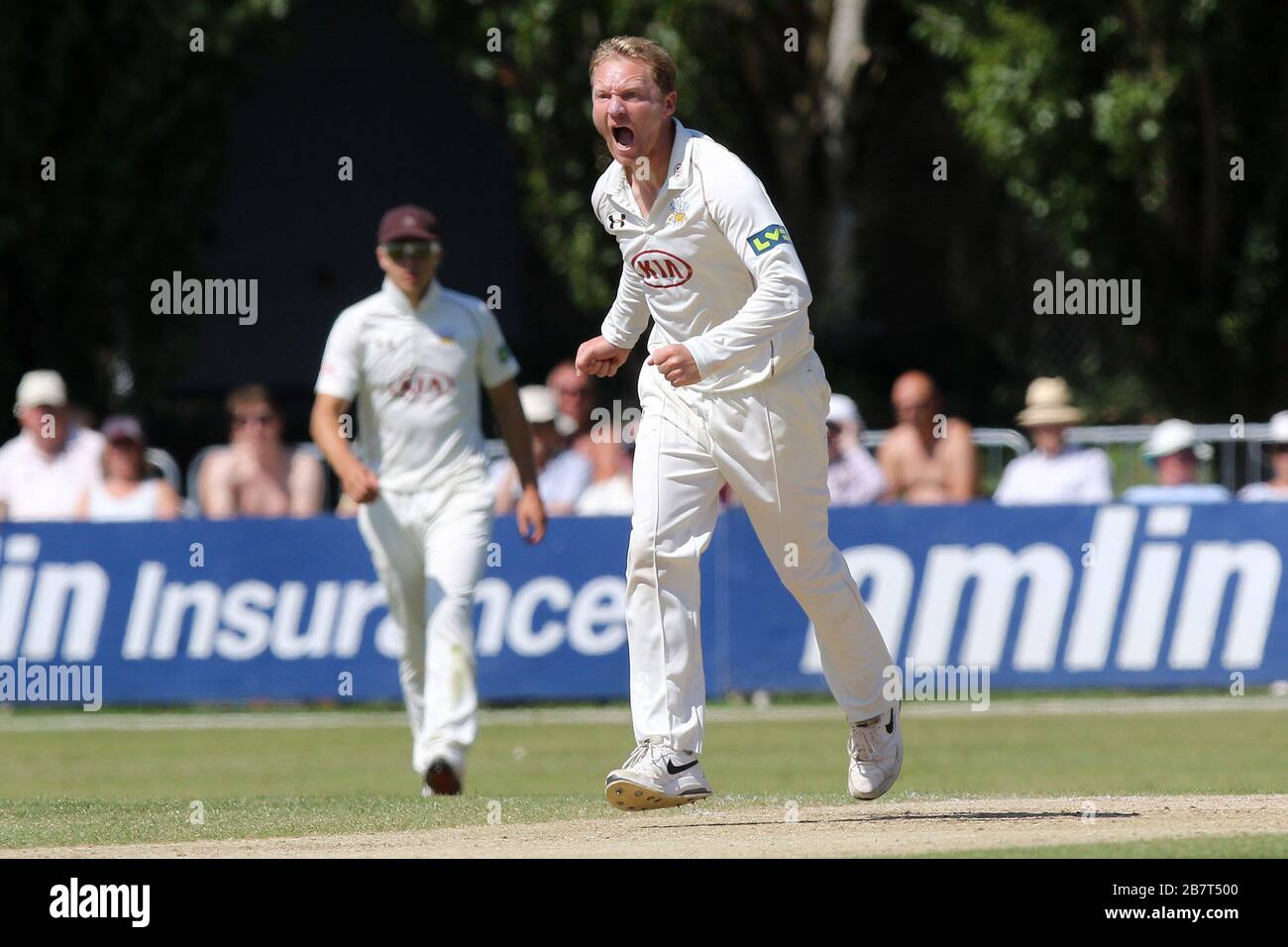 Gareth Batty of Surrey CCC celebrates taking the wicket of Nick Browne Stock Photo