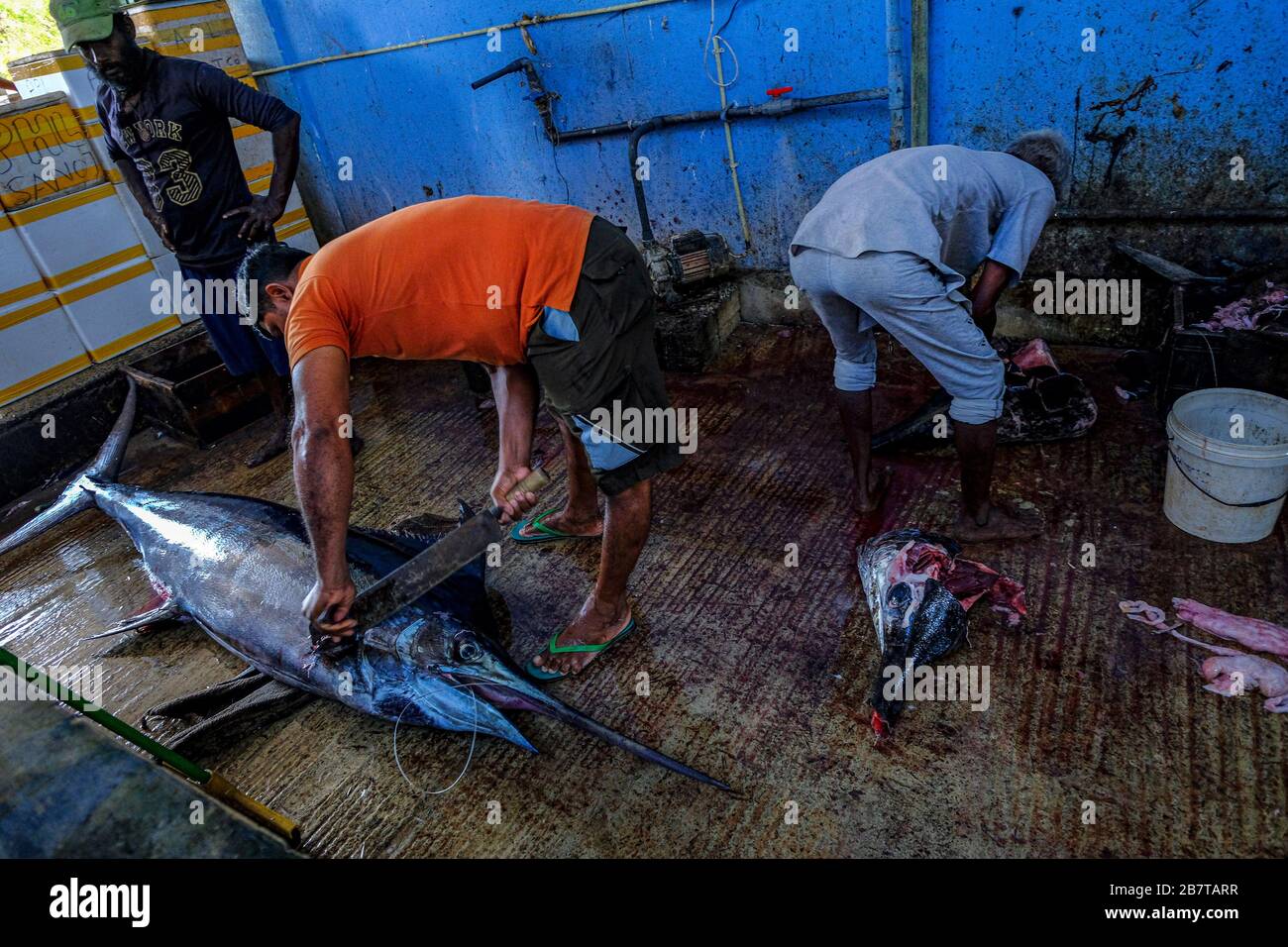 Trincomalee, Sri Lanka - February 2020: Men cutting a swordfish at the Trincomalee market on February 16, 2020 in Trincomalee, Sri Lanka. Stock Photo