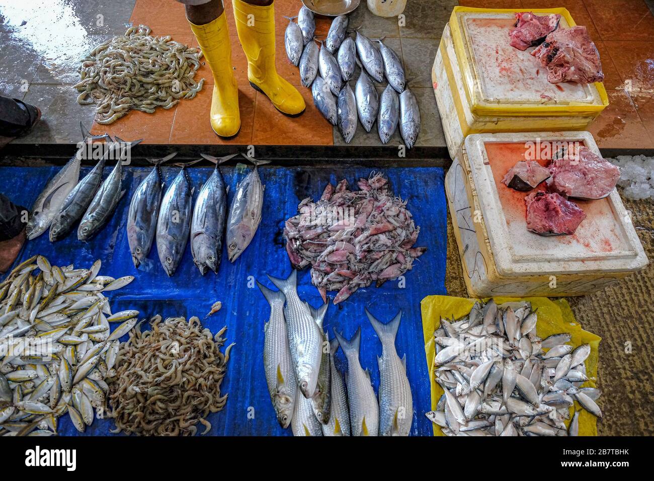 Fish sellers at the Trincomalee market in Trincomalee, Sri Lanka. Stock Photo