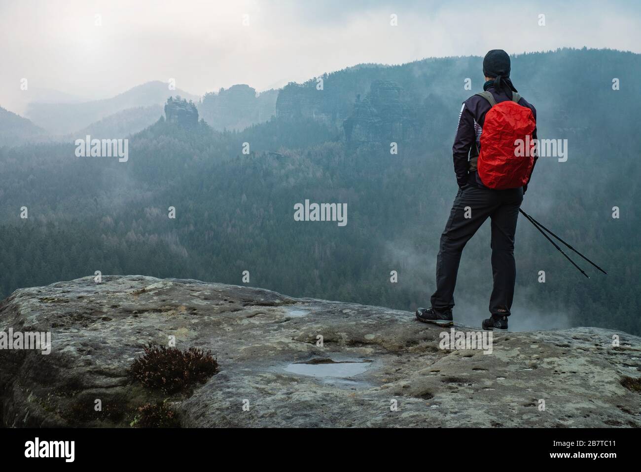 north face trekking pole