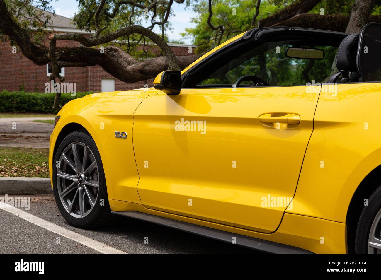 Bright Yellow Mustang 5.0 Stock Photo - Alamy