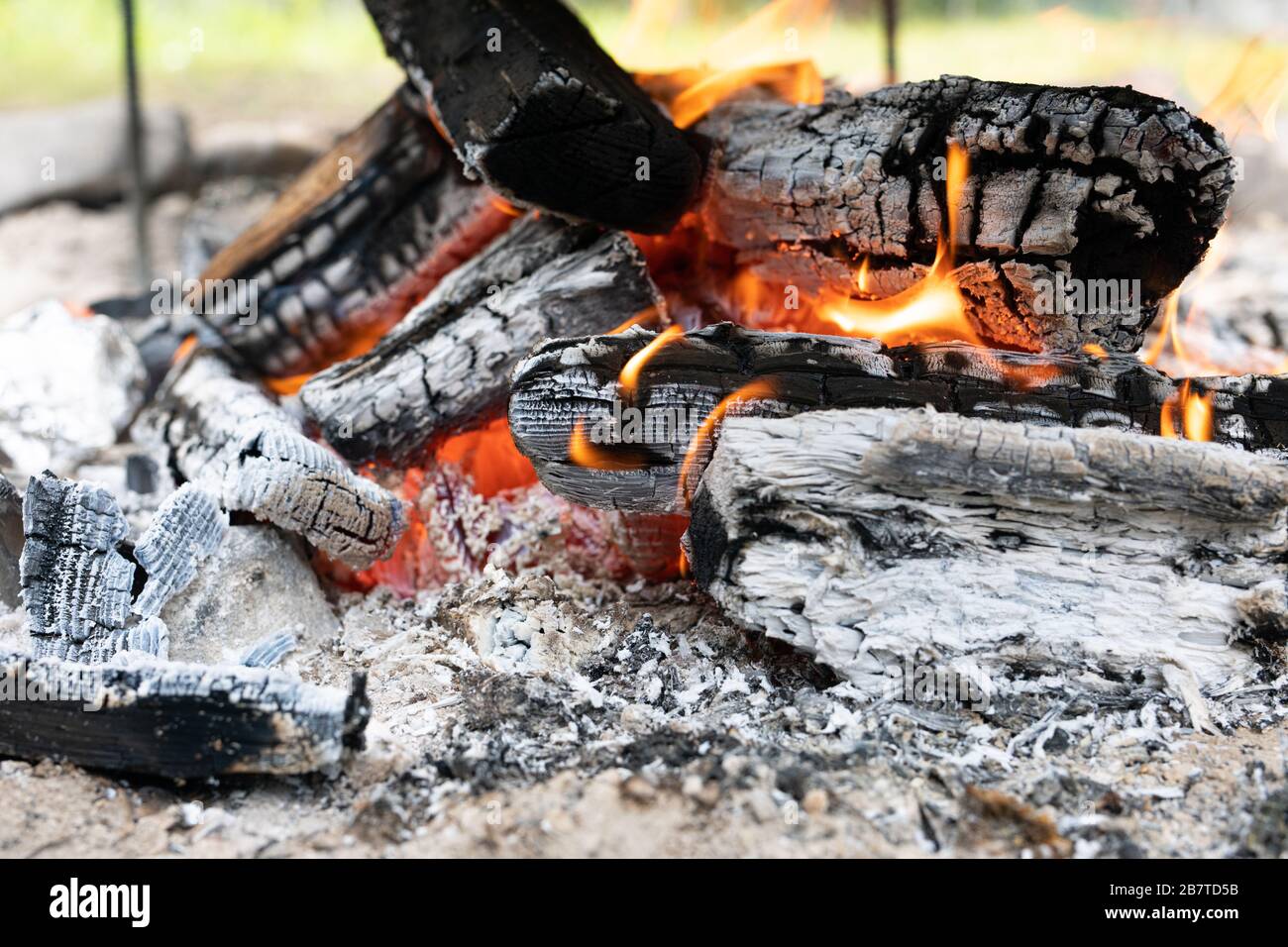 wooden logs or firewood burn with red yellow flame among pieces of embers and live coals Stock Photo