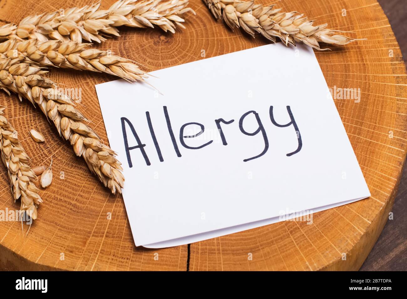 Wheat ears on wooden board and paper with text Allergy. Stock Photo