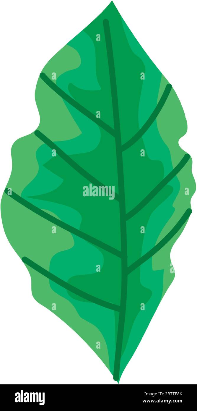 leaf nature ecology isolated icon Stock Vector Image & Art - Alamy