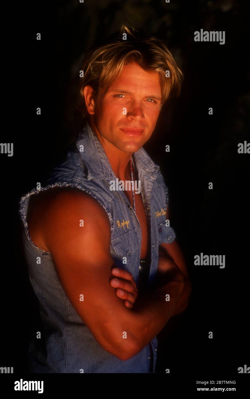 Los Angeles, California, USA 27th July 1995 (Exclusive) Actor David