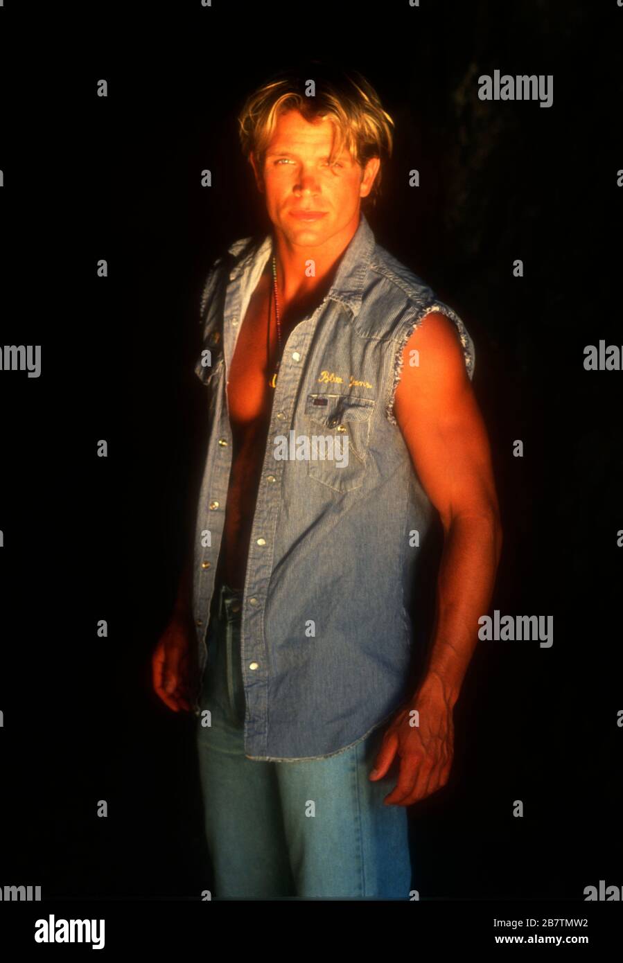 Los Angeles, California, USA 27th July 1995 (Exclusive) Actor David