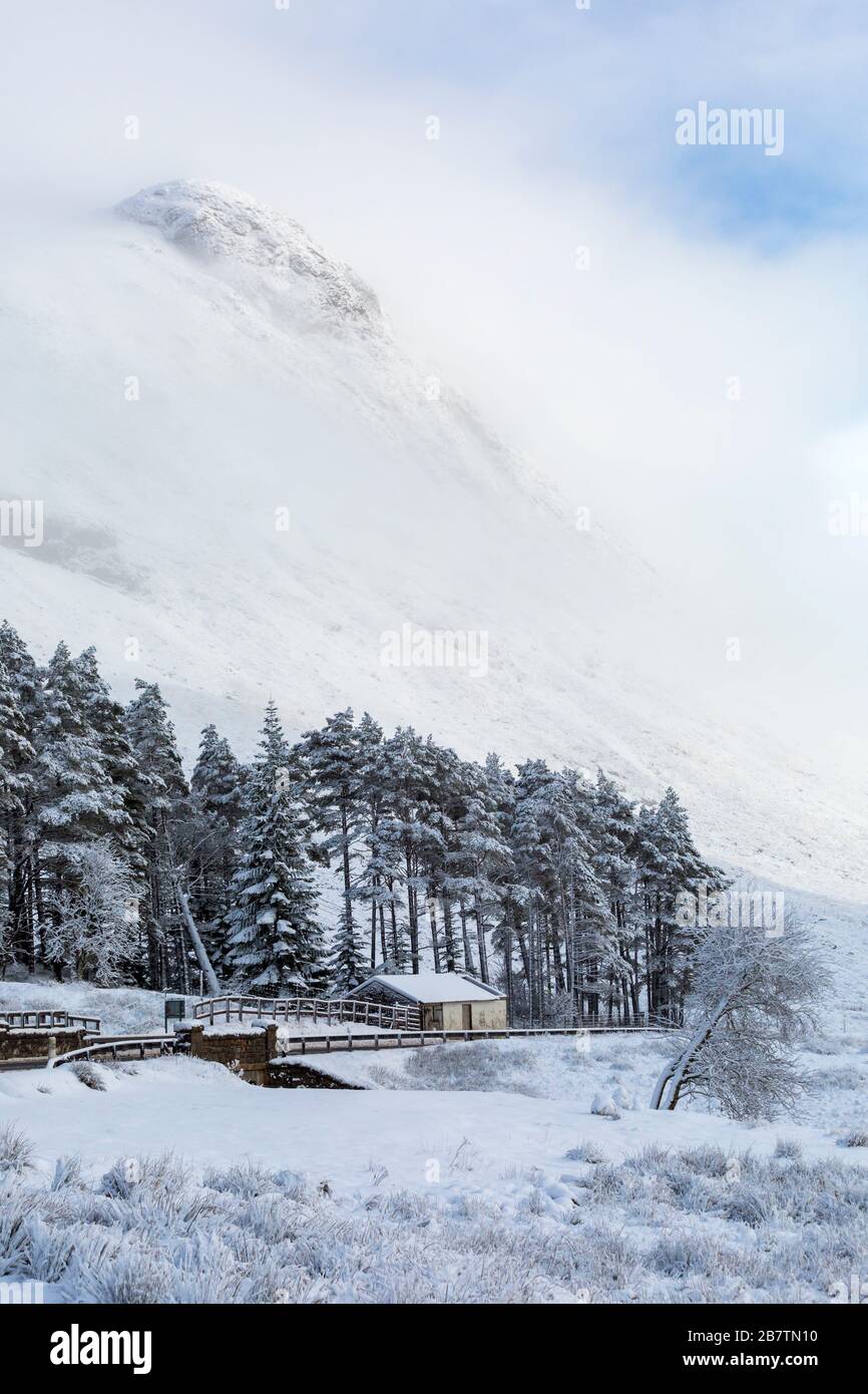 Cold winter day with snow and hoarfrost at Rannoch Moor, Glencoe, Scottish Highlands, Scotland, UK in January Stock Photo