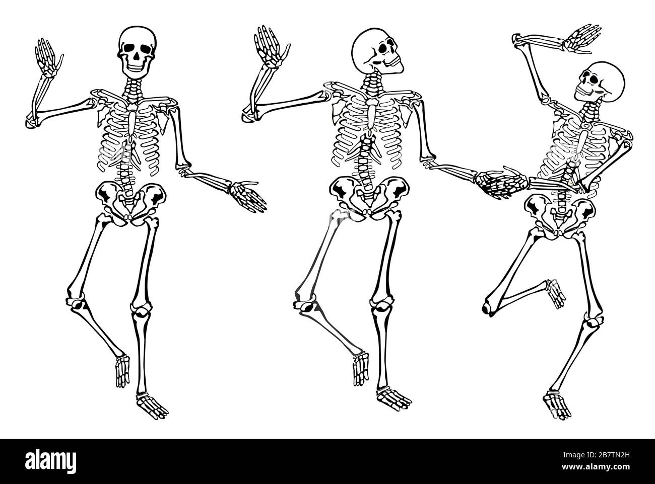 dancing skeletons isolated on white background Stock Photo