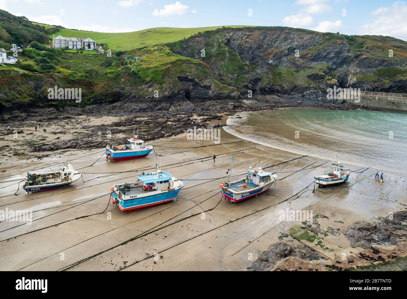 The harbour of fishing village Port Isaac, on the north coast of Cornwall, England, UK, seen at low tide. Stock Photo