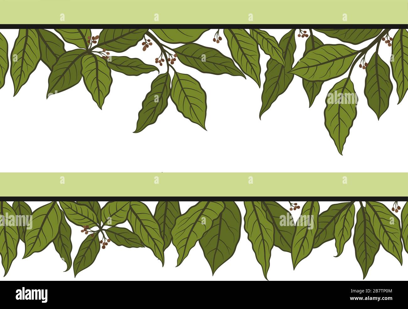 Laurel Bay Leaf, Seamless Stock Vector