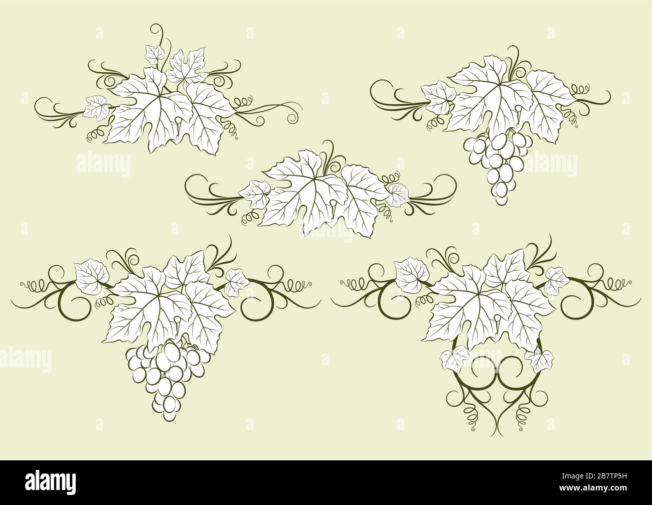 Set of Grape Labels Stock Vector
