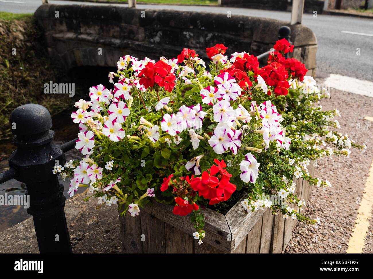 Britain in Bloom Flower Display at East Budleigh Stock Photo - Alamy