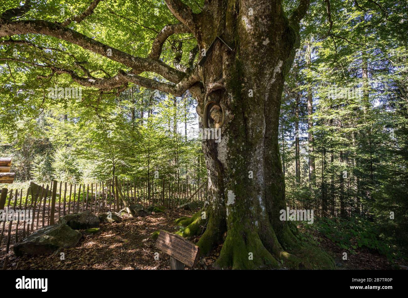 Gutenbach High Resolution Stock Photography And Images Alamy Gutenbach High Resolution Stock Photography And Images Alamy