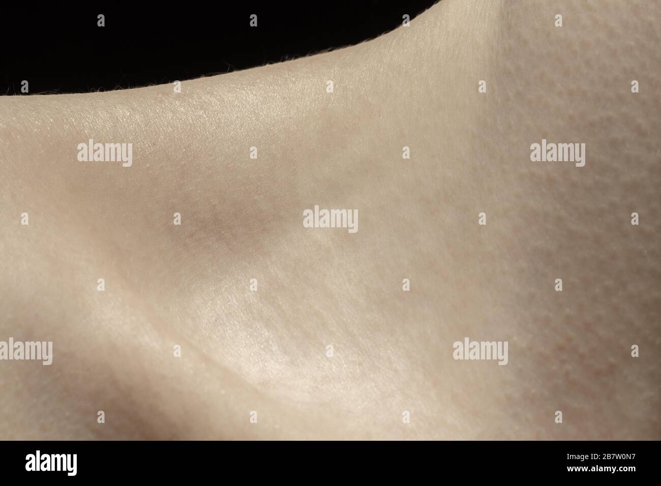 Collarbones. Detailed texture of human skin. Close up shot of young ...