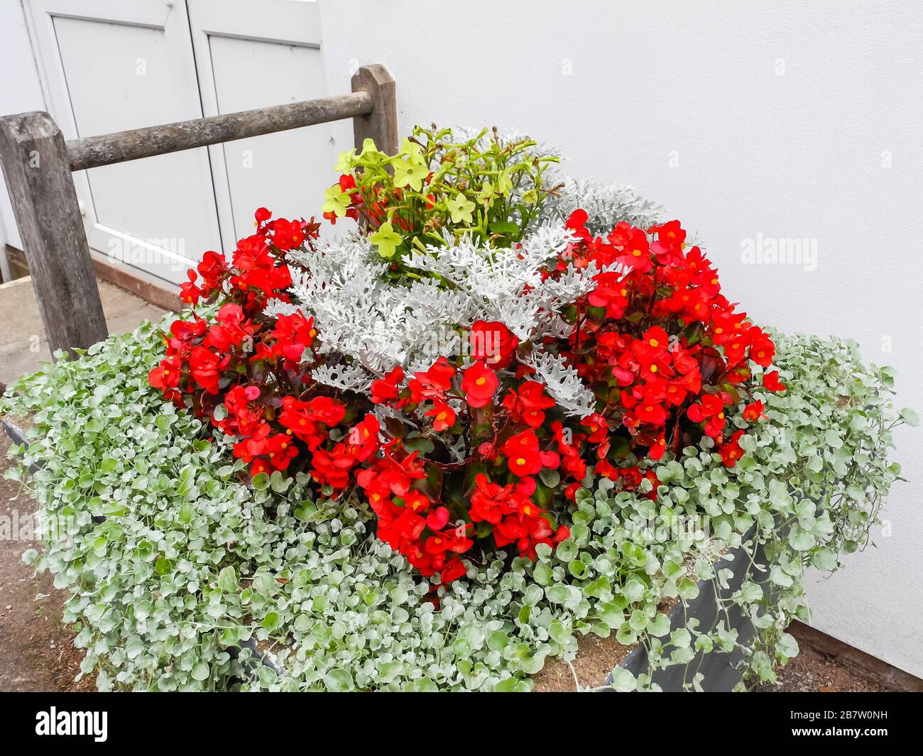 English garden flower baskets hi-res stock photography and images - Alamy