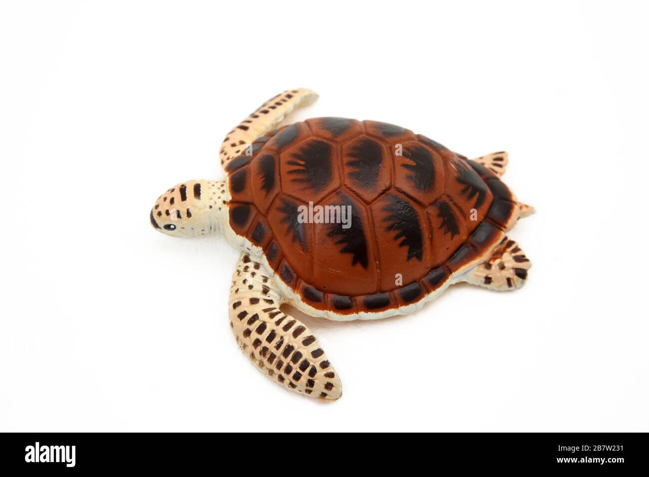 Turtle Toy High Resolution Stock Photography And Images Alamy Turtle Toy High Resolution Stock Photography And Images Alamy