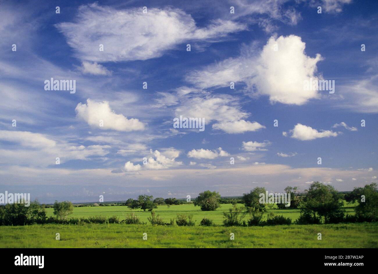 Corpus Christi, Texas USA: Variety of clouds dot blue sky above the South Texas Plains near the Gulf of Mexico.  ©Bob Daemmrich Stock Photo