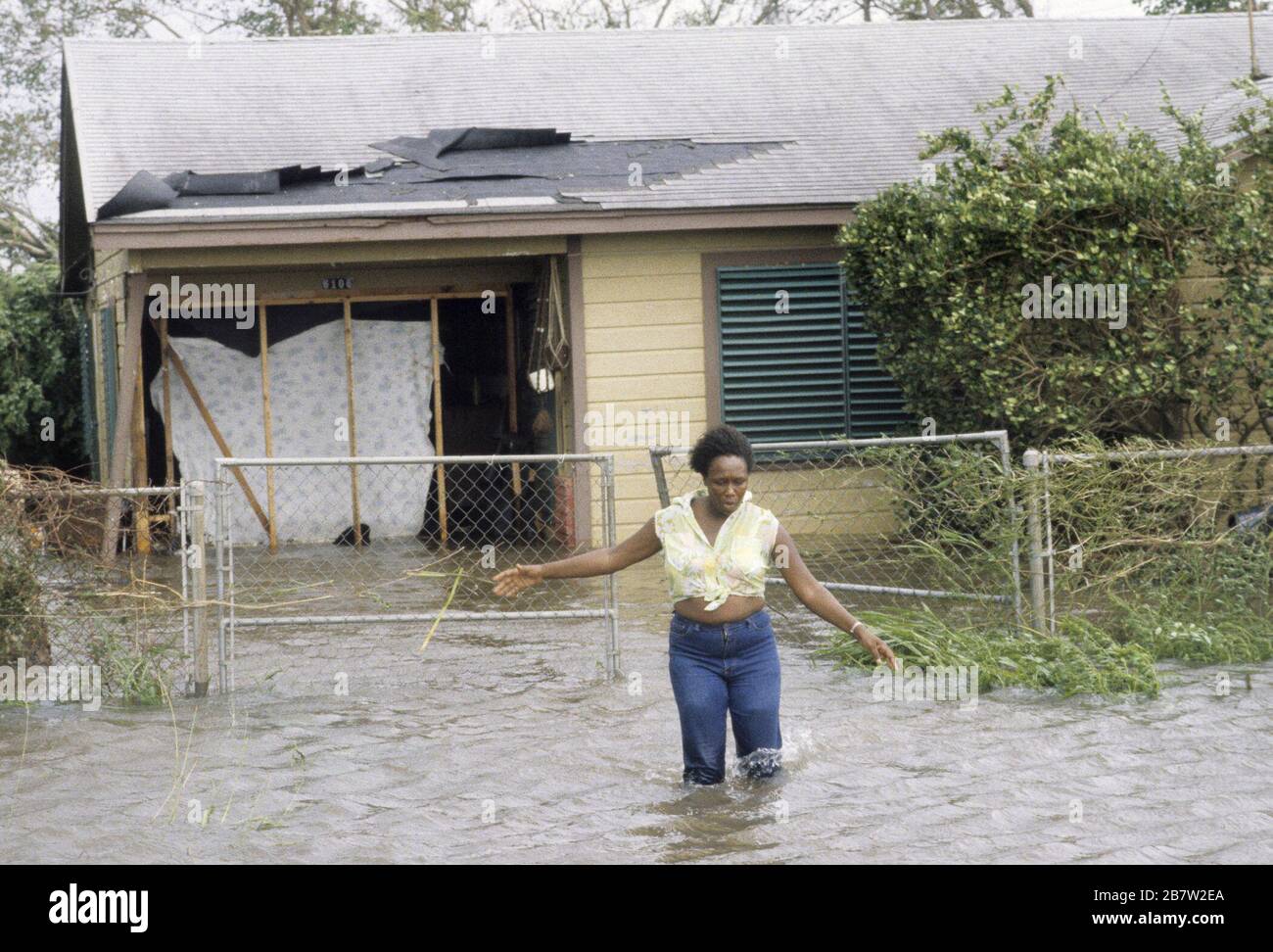 Galveston, Texas USA, 1983: Resident wades through knee-deep floodwater in front of home damaged by high winds and storm storm surge from Hurricane Alicia.  ©Bob Daemmrich Stock Photo