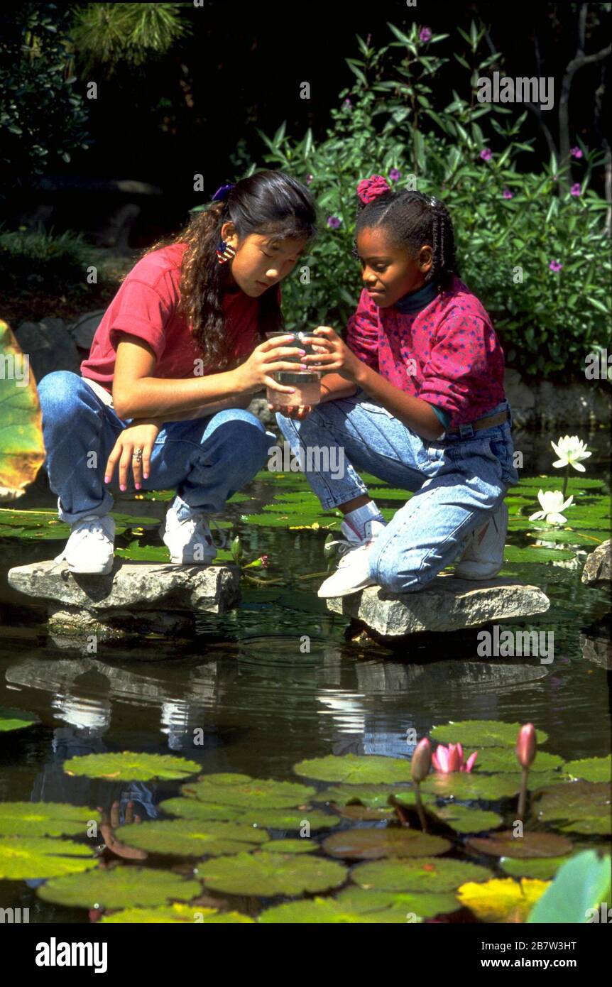 Austin Texas USA, 1991: 7th grade classmates explore a pond at Zilker Park as part of science experiments. MR EV-82-07  ©Bob Daemmrich Stock Photo
