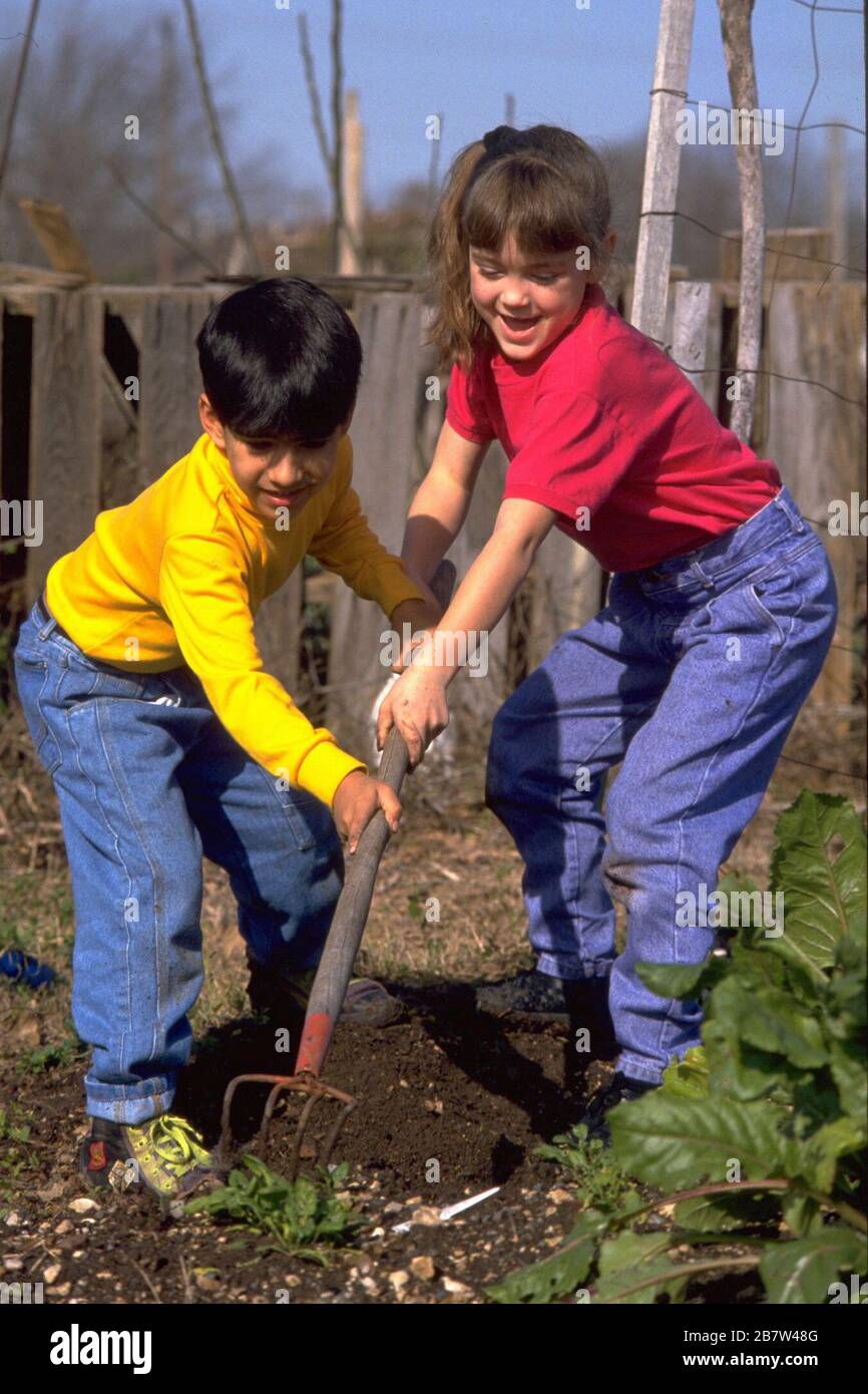 Austin Texas USA, 1991: Six-year-old boy and girl work together to use hoe at community garden. MR EV-036-037. ©Bob Daemmrich Stock Photo