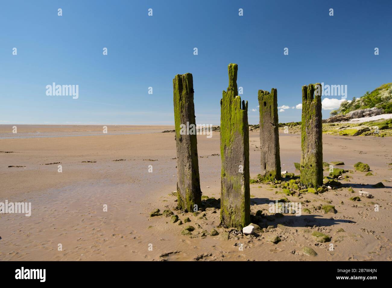 Old wooden structures at low tide near Jenny Brown’s Point near the village of Silverdale, Lancashire England UK GB. Stock Photo