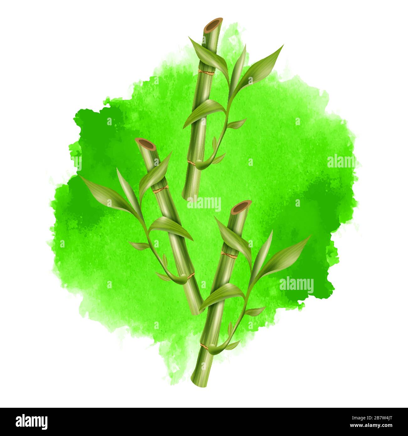 bamboo sticks vector illustration isolated on green watercolor background Stock Vector