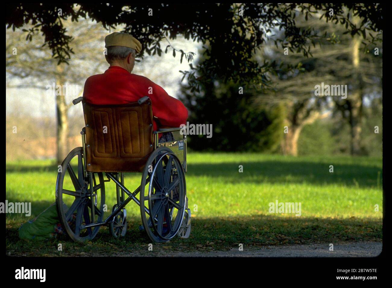 Elderly man sitting in shady spot in wheelchair outside on sunny day.   ©Bob Daemmrich Stock Photo