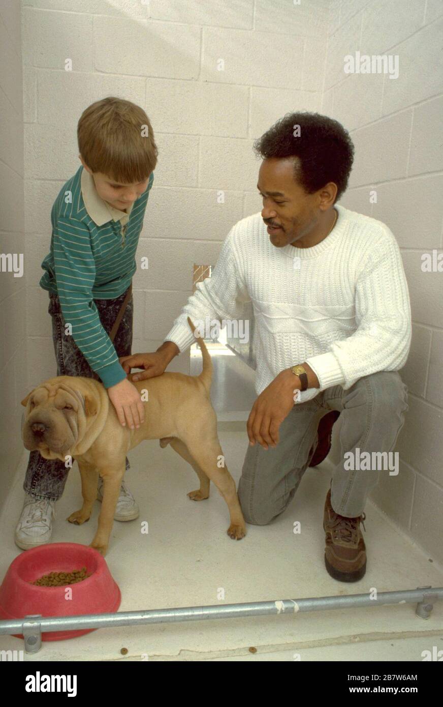 Austin Texas USA: Adult 'big brother' volunteer spends time with elementary-school aged 'little brother' at dog shelter as part of Big Brothers Big Sisters youth mentoring program.  MR   ©Bob Daemmrich Stock Photo