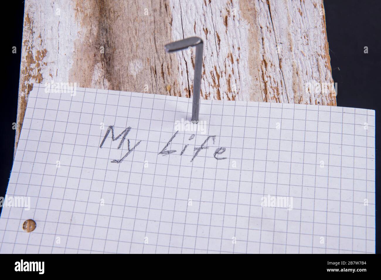 Empty sheet nailed on the wood as a diary Stock Photo