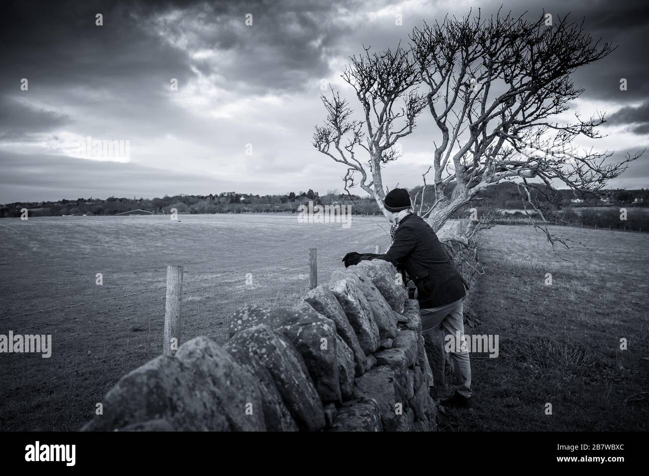 Burton Mere Wetlands Rspb Hi-res Stock Photography And Images - Alamy