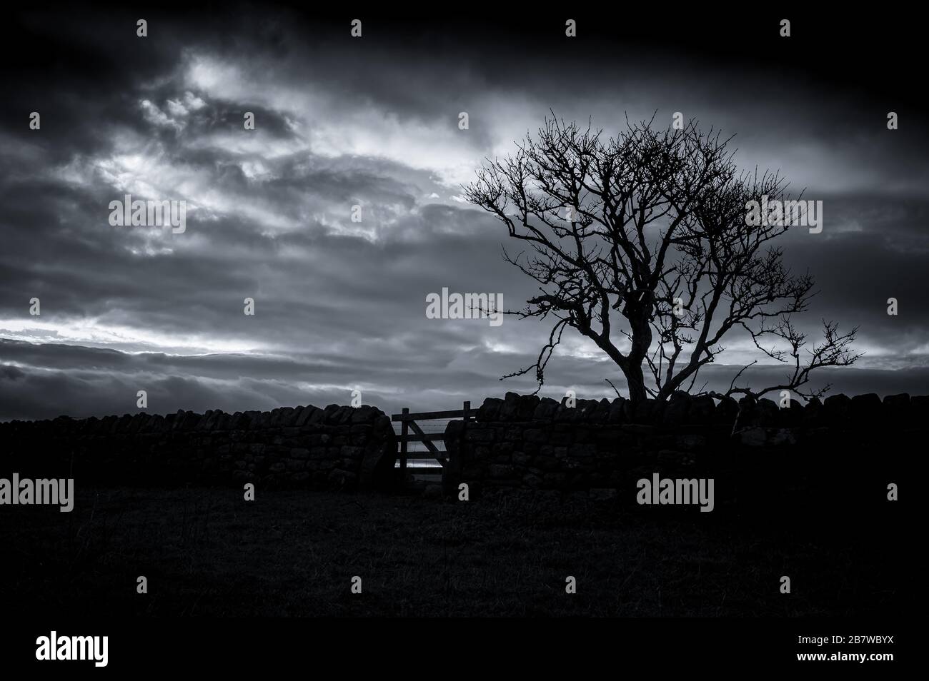 Burton Mere RSPB Reserve, Cheshire Stock Photo - Alamy