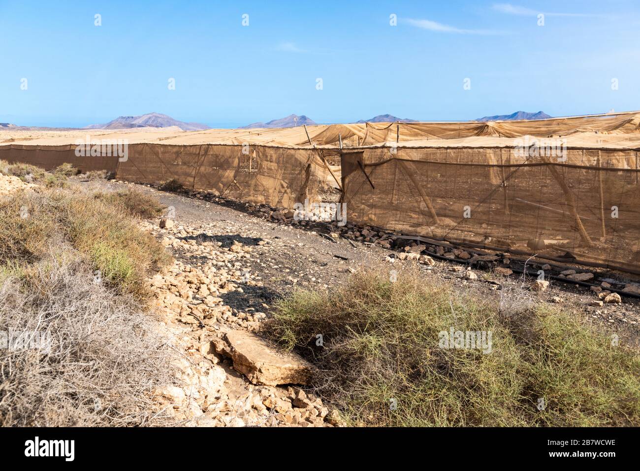 Horticultural area abandonded due to lack of water near Tuineje in the centre of the Canary Island of Fuerteventura - The covering provided protection Stock Photo