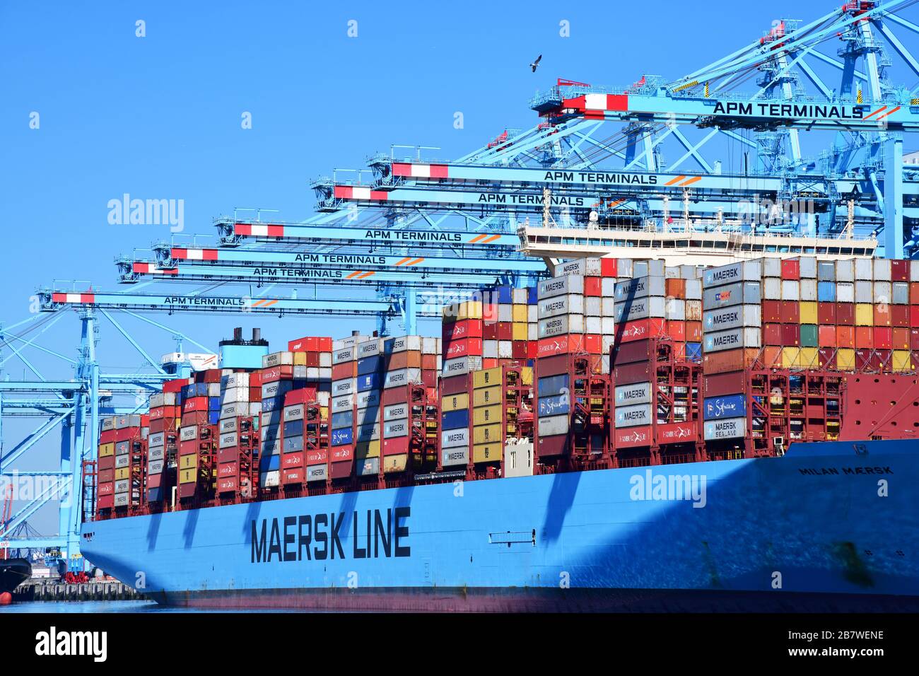 Rotterdam, The Netherlands - August 2019; low angle view and image filling container handling ‘ship to shore’ in the terminal with numerous gantry cra Stock Photo