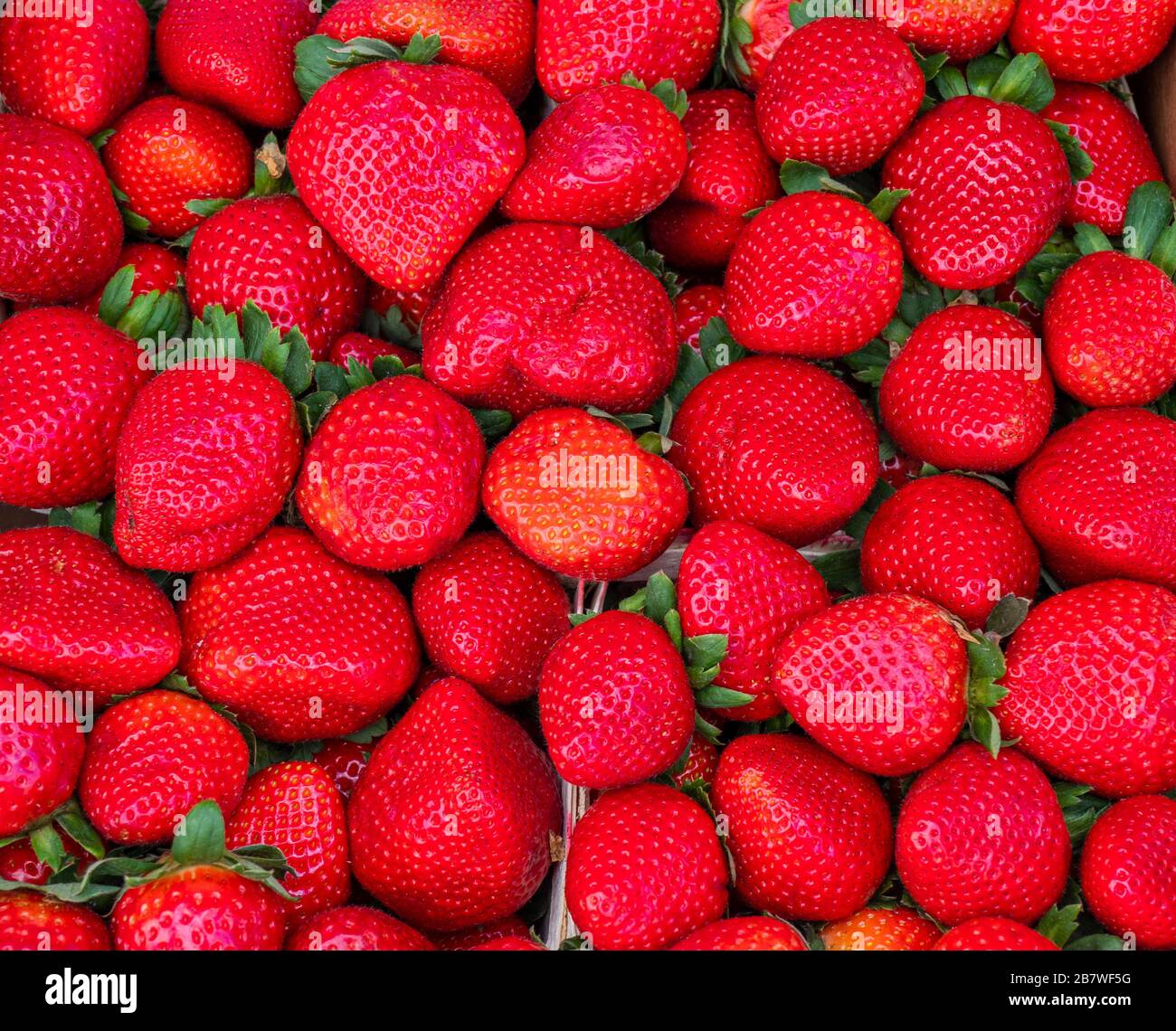 Full frame image of bright red strawberries Stock Photo