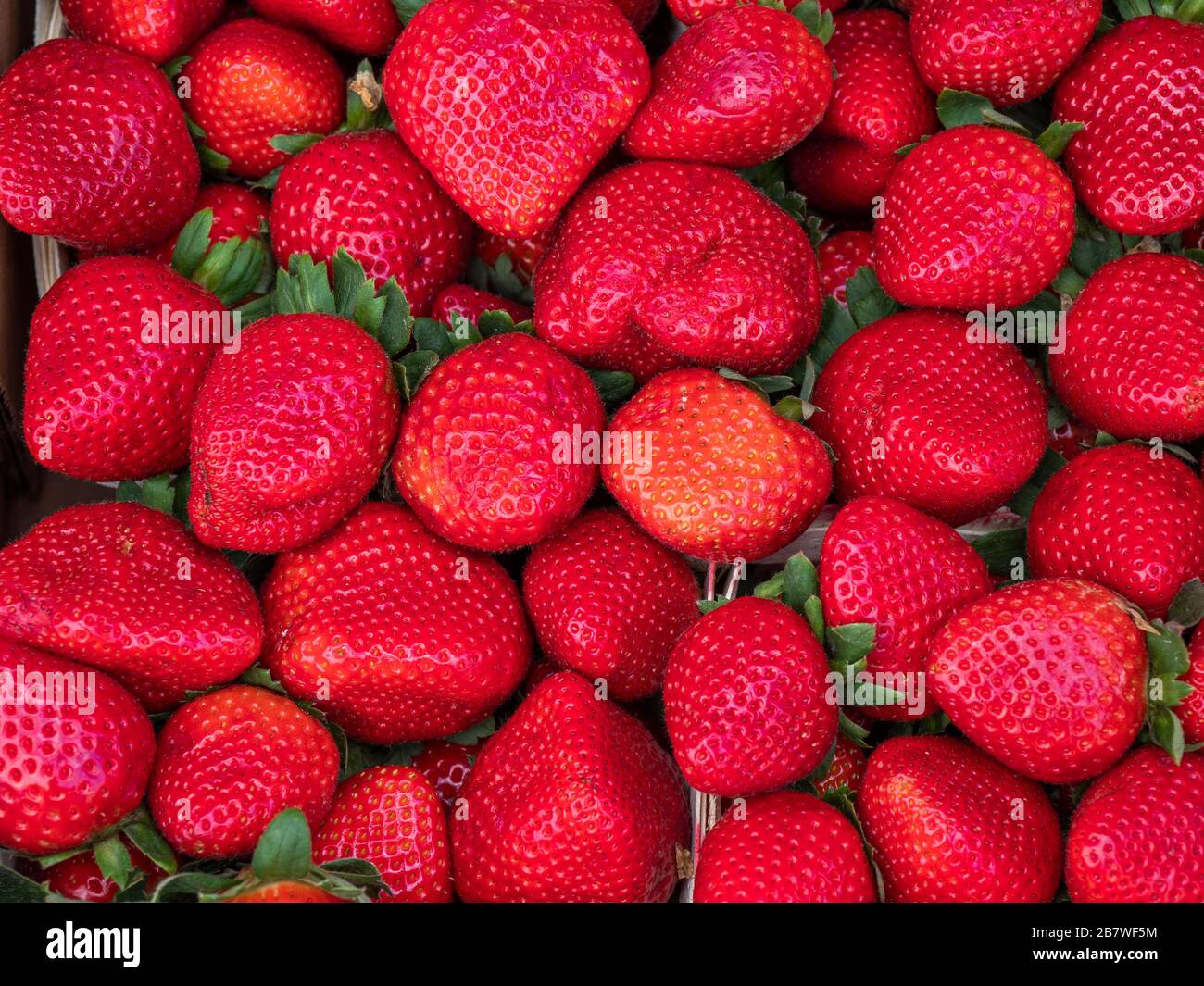 Full frame image of bright red strawberries Stock Photo