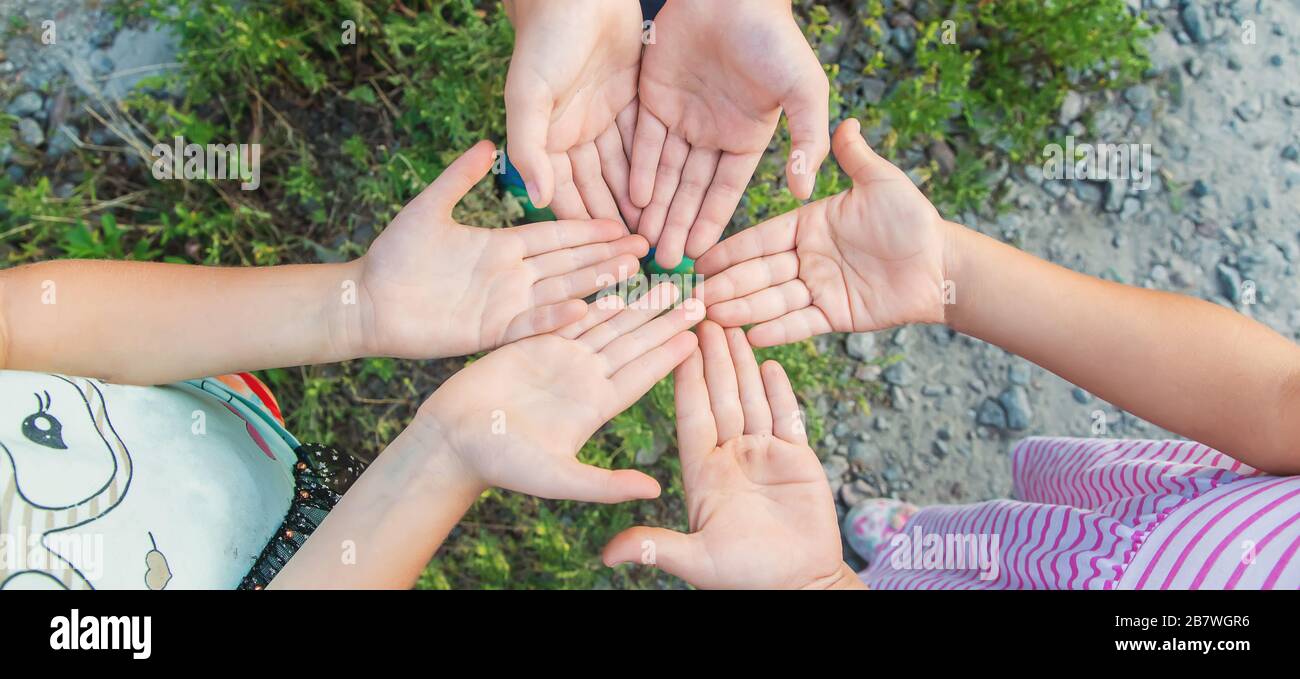 Diverse Children Holding Hands Isolated High Resolution Stock ...