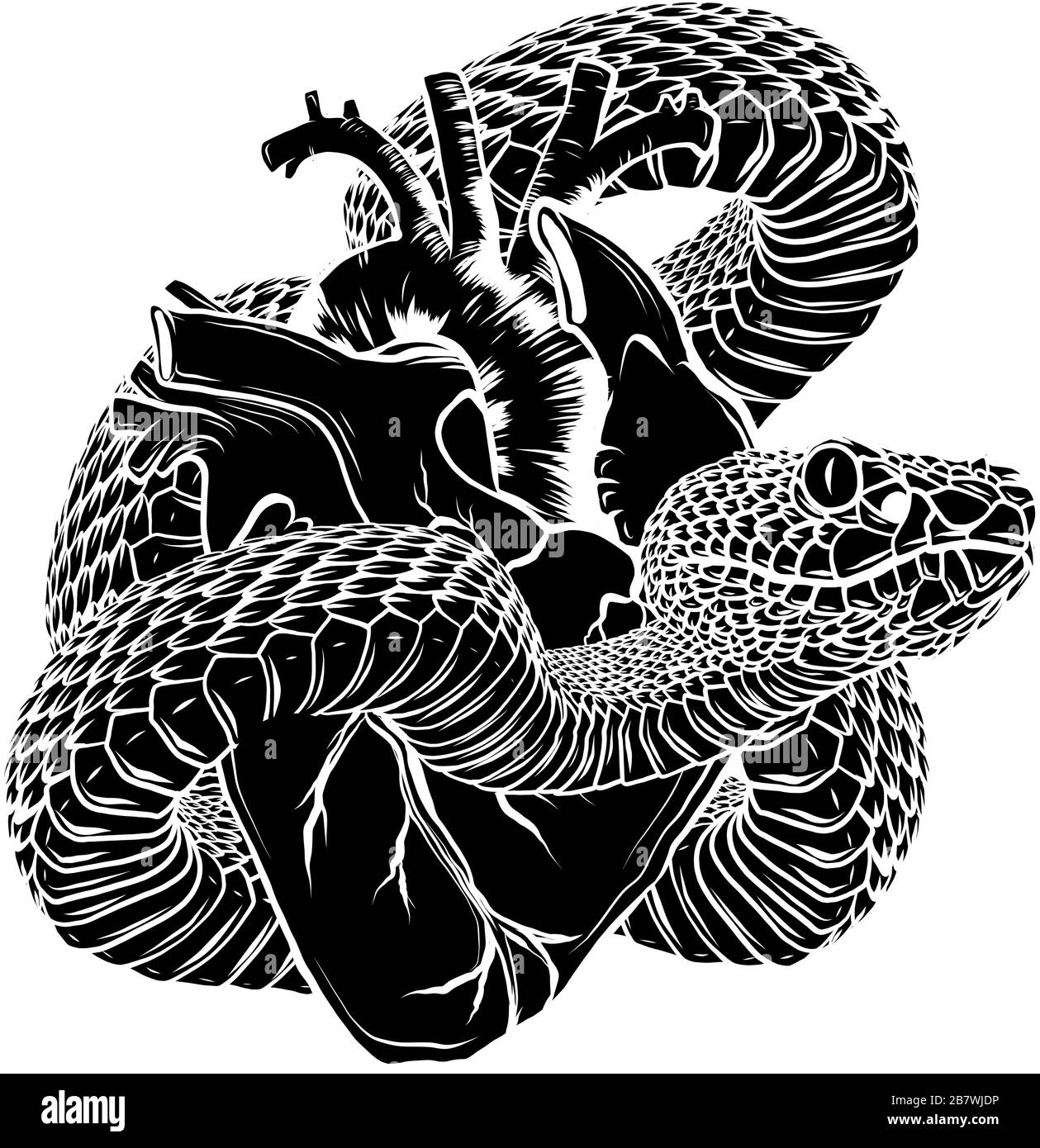 Colorful tattoo snake around heart vector illustration Stock Vector