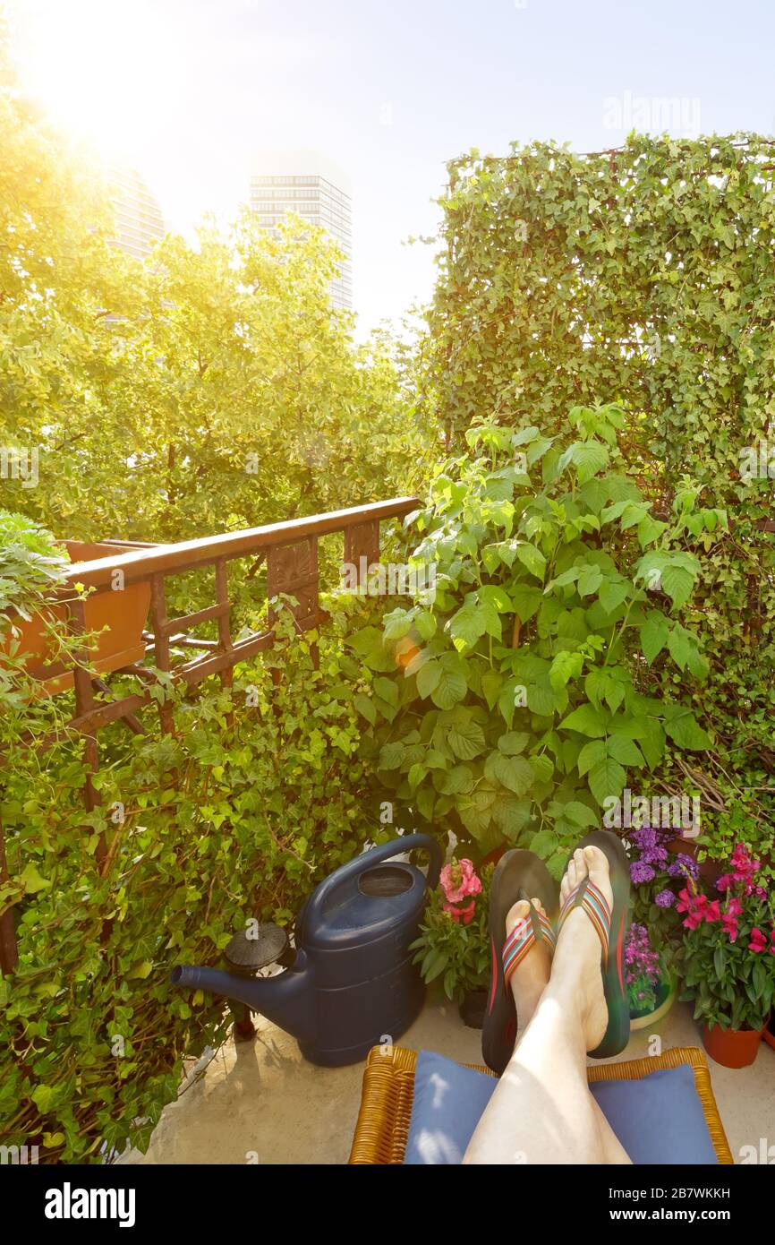 City balcony in summer: woman's feet in flip-flops on a footrest and lots of plants and flowers in pots. Stock Photo
