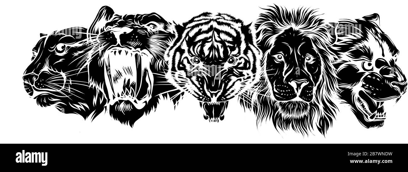 Set of stylized feline heads on grey background. Vector Illustration Stock Vector