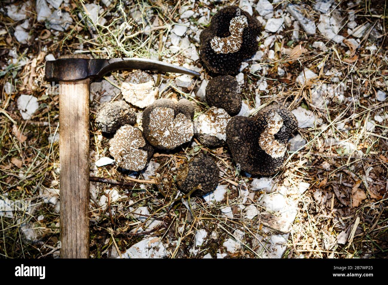 Mattock Axe High Resolution Stock Photography and Images Alamy