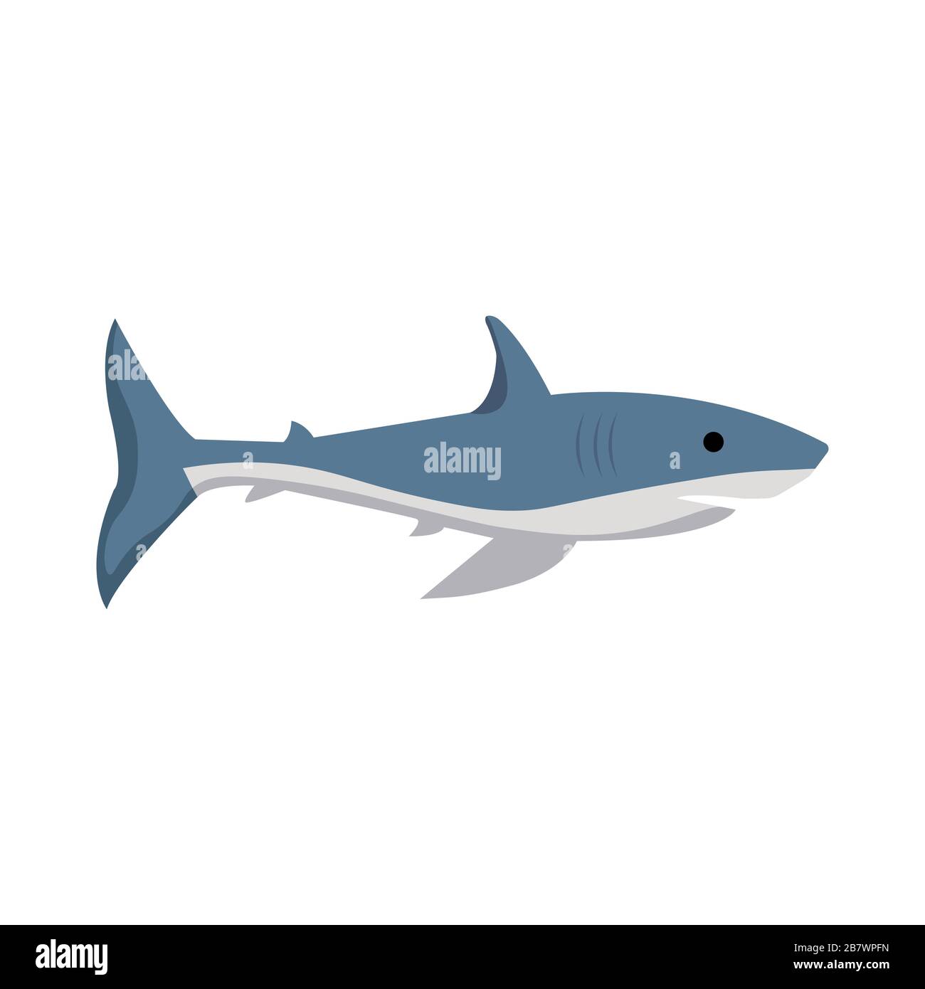 Vector image of a shark on a white background Stock Vector Image & Art ...